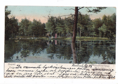 VANHA Postikortti Uusikaarlepyy 1905