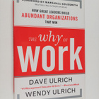 David Ulrich : The why of work : how great leaders build ... - pikkukuva 1