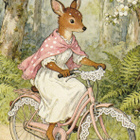 Kauris pyöräilee - pikkukuva 1