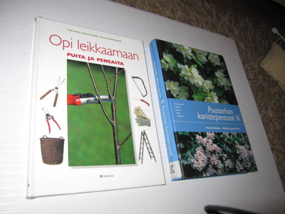 PUUTARHAN KORISTEPENSAAT & OPI LEIKKAAMAN PUITA JA PENSAITA