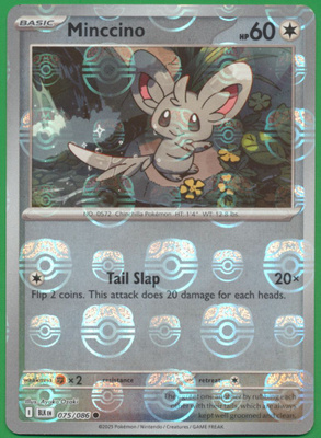 Pokémon Minccino Master Ball