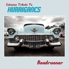 Estonian Tribute To Hurriganes Roadrunner 50v LP 2024 - pikkukuva 1