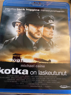 Kotka on laskeutunut