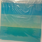 GRAM PARSONS - GRIEVOUS ANGEL EX+/EX+ LP - pikkukuva 2