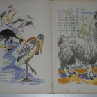 Mennään eläintarhaan (1.p. 1967) riimit Eeva-Liisa Manner - pikkukuva 4