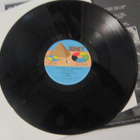 Jukka Tolonen LP UK 1978 A Passenger To Paramaribo - pikkukuva 5