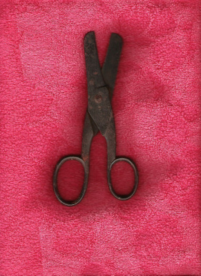 Fiskars, vahvat sakset.
