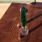 Rapala X-Rap 4cm - pikkukuva 3