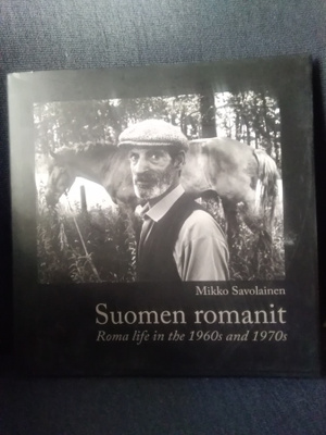 Mikko Savolainen: Suomen romanit