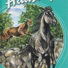 Terri Farley: Haastaja - pikkukuva 1