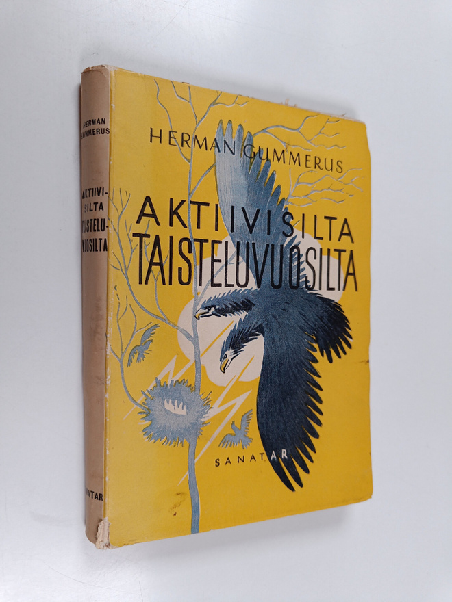 Herman Gummerus : Aktiivisilta taisteluvuosilta