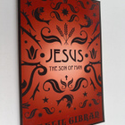 Kahlil Gibran : Jesus the Son of Man - pikkukuva 1