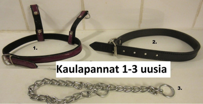Panta 52cm kettinki.