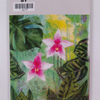 Orkidealehti 5-6/2007 - pikkukuva 2