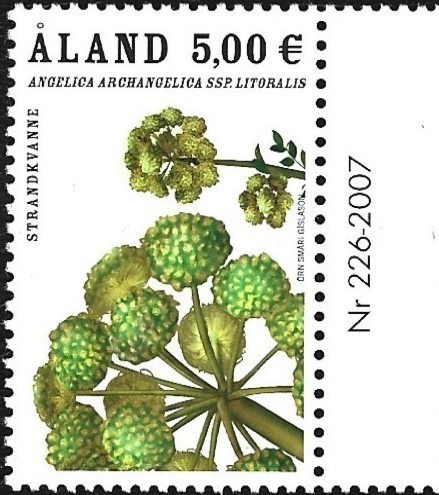 Åland 2007 Rantakukkia 5,00 €  välilöpari numero** LaPe 275