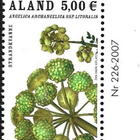 Åland 2007 Rantakukkia 5,00 €  välilöpari numero** LaPe 275 - pikkukuva 1