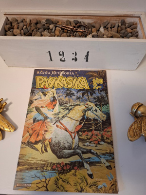 Pahkasika 1/80