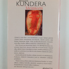 Milan Kundera : Identiteetti - pikkukuva 2