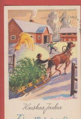 Tuure Saloranta Kuusi rekikyydissä