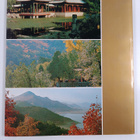 Meng Yanan : Gardens and scenic spots of Beijing - pikkukuva 2