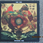 Fleet Foxes HELPLESS BLUES (CD) - pikkukuva 1