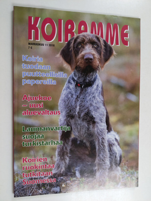 Koiramme 11/2016