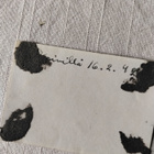 sotavalokuva röykkiö ruumiita krivillä 1942 - pikkukuva 2
