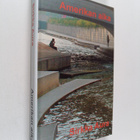 Sirkka Aura : Amerikan aika - pikkukuva 1
