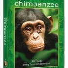 Chimpanzee (Disneynature DVD) - pikkukuva 1