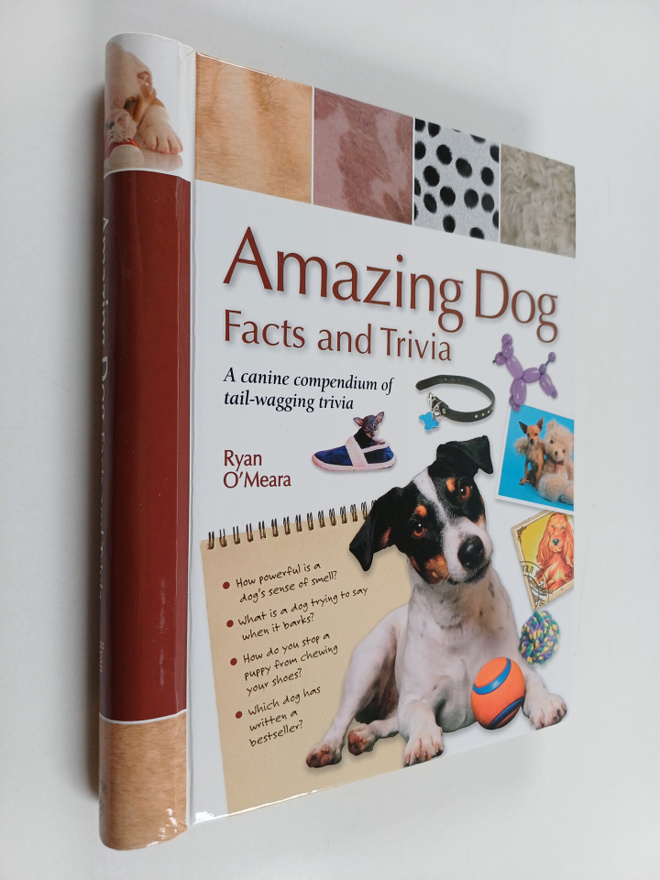 Ryan O'Meara : Amazing Dog Facts and Trivia