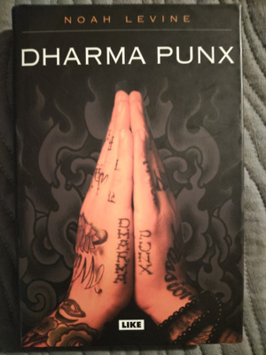 Noah Levine: Dharma Punx