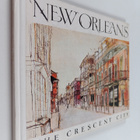 New Orleans - The crescent city - pikkukuva 1