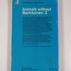 Ralph Buchsbaum : Animals without Backbones 2 - pikkukuva 2