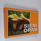 Gro Gulden : Sieniopas - pikkukuva 1