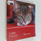 Claire Horton-Bussey : Cats - pikkukuva 1