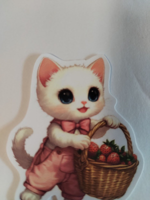 Kissa tarra.