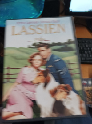 Lassien poika