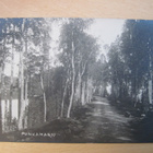 VANHA Postikortti Punkaharju 1920-luku - pikkukuva 1