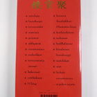 Charles Windridge : Tong Sing : kiinalaisen viisauden kirja - pikkukuva 2
