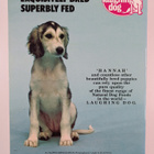 Dog world annual 1989 - pikkukuva 2