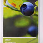 Luonnossa 2008 - pikkukuva 2