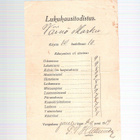 Lukukausitodistus, joulukuu, 2 kpl. 1917 ja 1919. - pikkukuva 1
