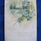 Kukkakortti 1910-luvulta - pikkukuva 1