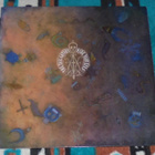 THE TAIL GATORS ~ Hide Your Eyes ~ LP - pikkukuva 1
