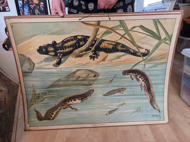 Vanha isokokoinen koulutaulu