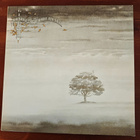 Genesis Wind & Wuthering - pikkukuva 1
