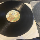 The Best of Rod Stewart 1976 2LP - pikkukuva 3