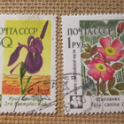 CCCP 1960: kukkia - pikkukuva 5