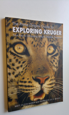 Brett Hilton-Barber : The prime origins guide to explorin...