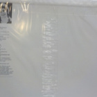 TIM BUCKLEY - STARSAILOR UUSI LP - pikkukuva 2